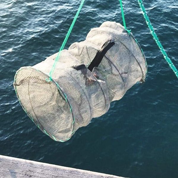 Fishing Bait Trap,2 Packs Crab Trap Minnow Trap Crawfish Trap Lobster Shrimp Collapsible Cast Net Fishing Nets Portable Folded Fishing Accessories,12.6X20.1inches - Image 6